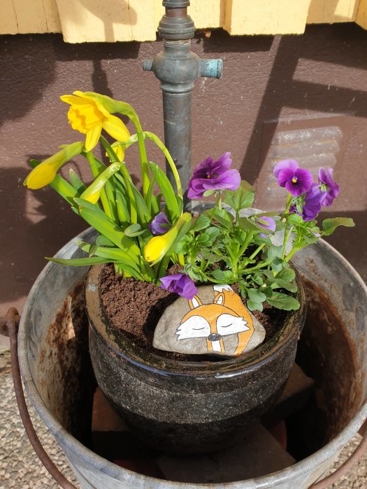 Vårblommor i kruka med sten målad som räv, vid vattenkran och rostig hink.