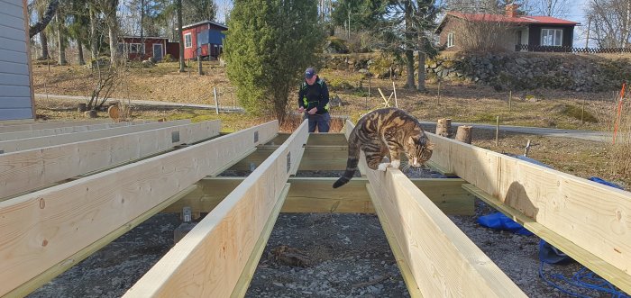 Grundkonstruktion av trä för ett byggprojekt med en person och en katt i soligt väder.