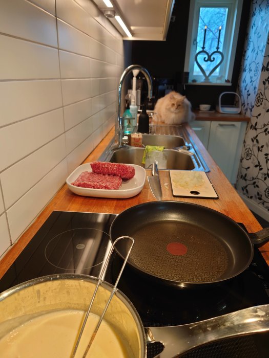 En katt betraktar köttfärs på en köksbänk med stekpanna och kastrull i förgrunden.