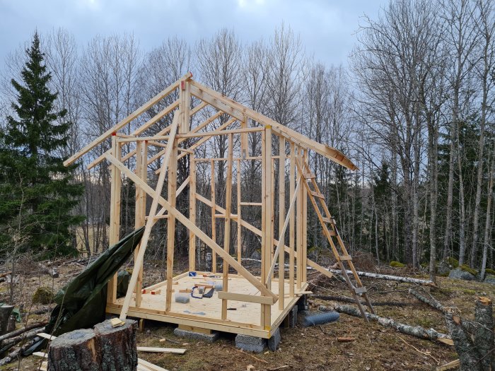 Trästomme till byggnad under konstruktion i skogsmiljö med synlig nockbräda och reglar.