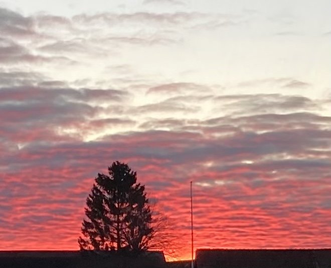 Solnedgång med röd himmel bakom silhuett av träd och byggnad.