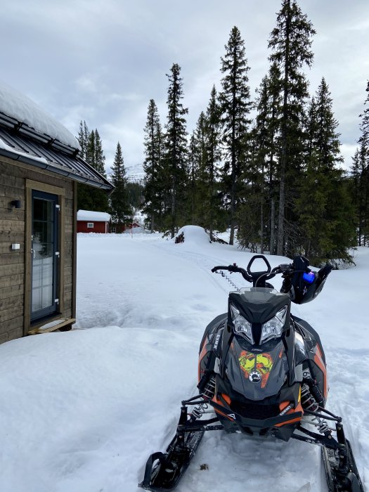 Ny skoter framparkerad vid snötäckt stuga i skogsmiljö med bergen i bakgrunden.