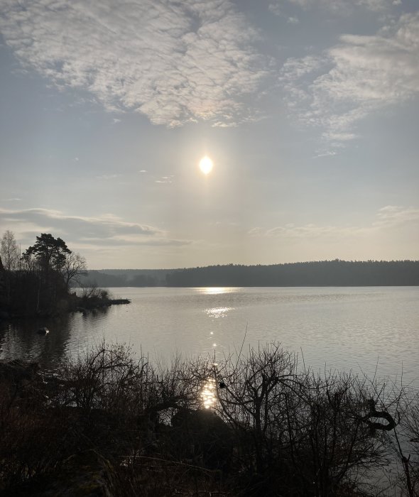 Sjölandskap med solreflektion på vatten, träd och molnigt himmel.