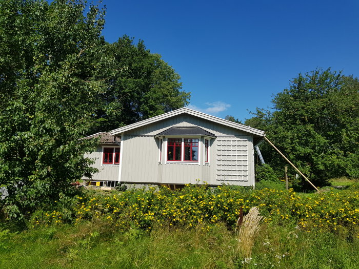 Ett ljusgrått hus med röda fönsterkarmar omgivet av gröna träd och en blommande äng under klarblå himmel.