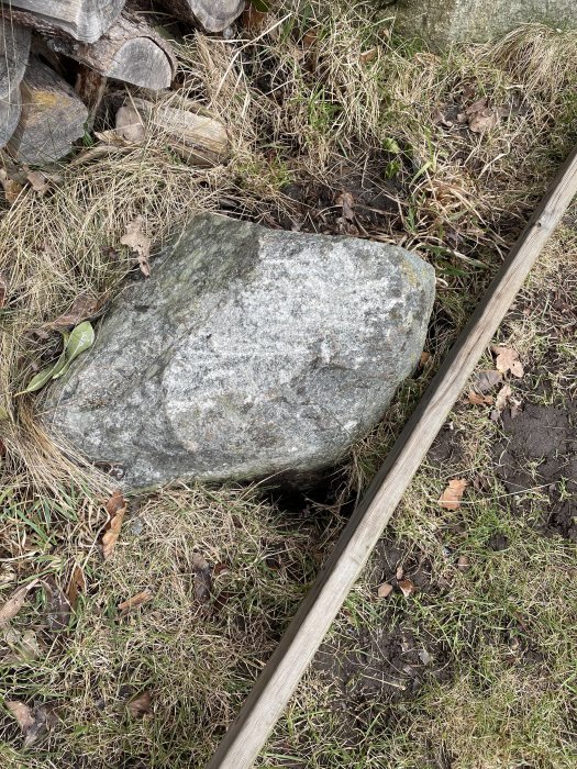 Medelstor grå sten som ligger i en trädgård nära träved och gräs, ovanpå jord och löv.