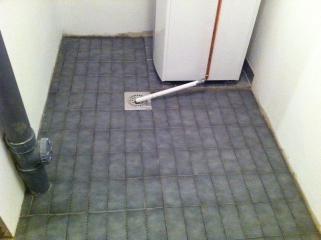 photo.jpg