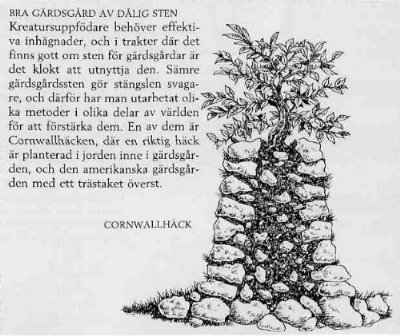 Cornwallhäck.jpg