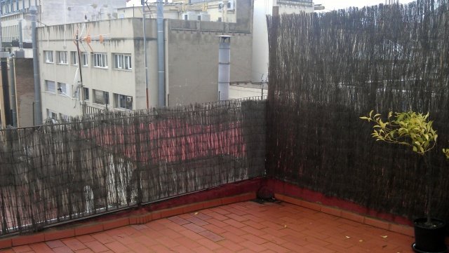 IMAG0372.jpg