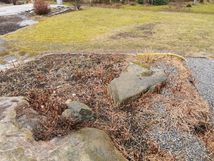 Område med avklippt parkslide och stora stenar, nära en gulbrun byggnad och gräsmatta.