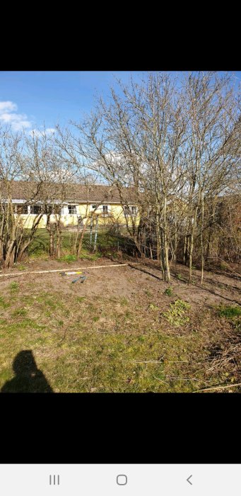 Bar trädgård redo för renovering med verktyg på marken, hus i bakgrunden.