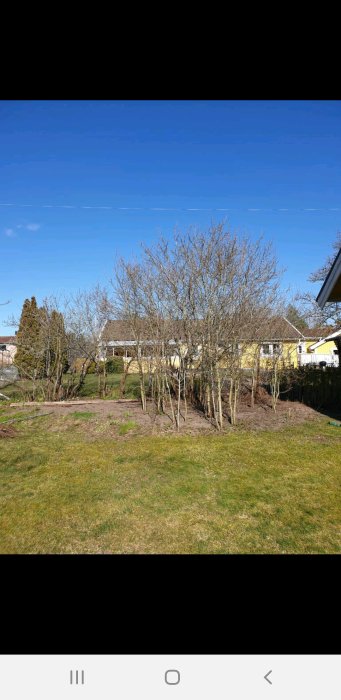 Trädgård med lövfällande träd och gräsplan framför ett gult enfamiljshus under klarblå himmel.