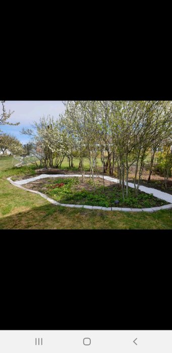 Blommande träd och blommor i en nyanlagd trädgård med gångvägar kantade av vita stenar.