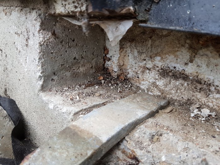 Urgröpning i grund med exponerad frigolitisolering under en dörrtröskel, möjlig inträdesväg för gnagare.