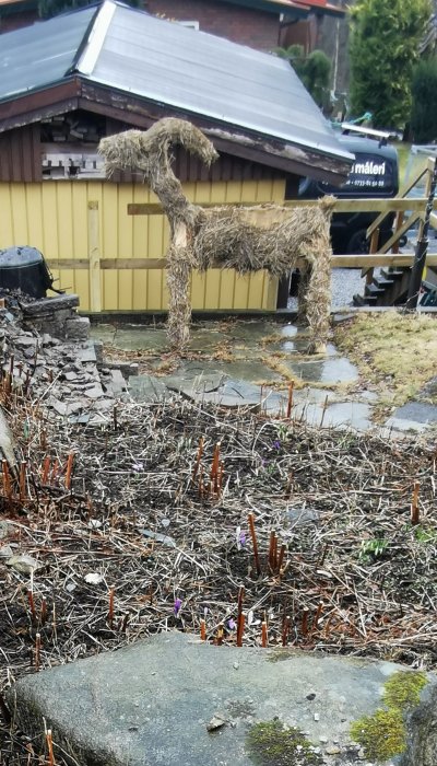 Halmbock skapad av hö står i en trädgård med stubbar och lila blommor, humoristisk referens till att beta bort vegetation.