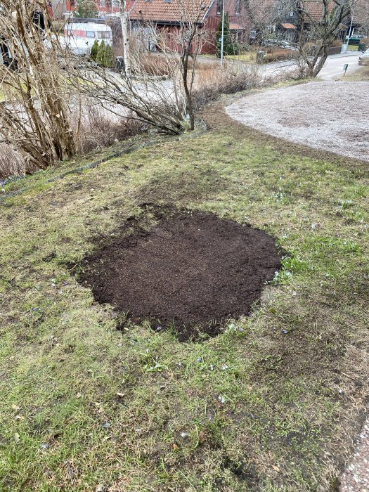 Område med nyutlagd jord blandat torv och sand på ojämn gräsmatta med blommor runtomkring.