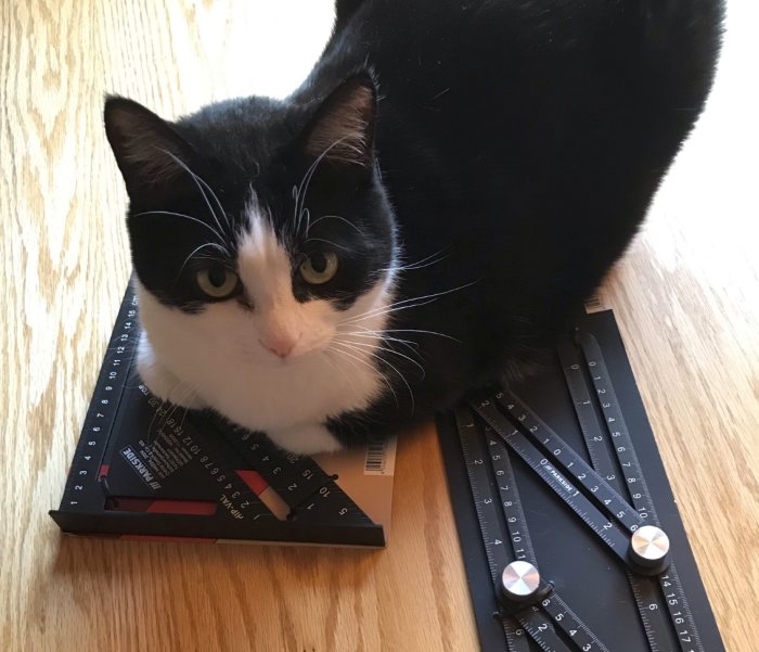 Svartvit katt sitter på en bok bredvid geometriska måttverktyg på ett trägolv.