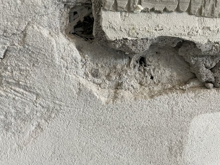 Defekter och hål i en renoverad väggyta med synligt gräsliknande material, troligen träull, under puts.