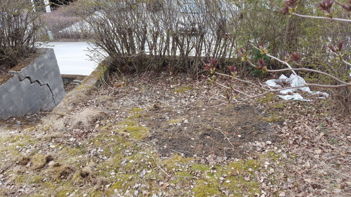 En gammal stödmur av betong som lutar inåt med sprickor, omgiven av viss vegetation och skräp på marken.