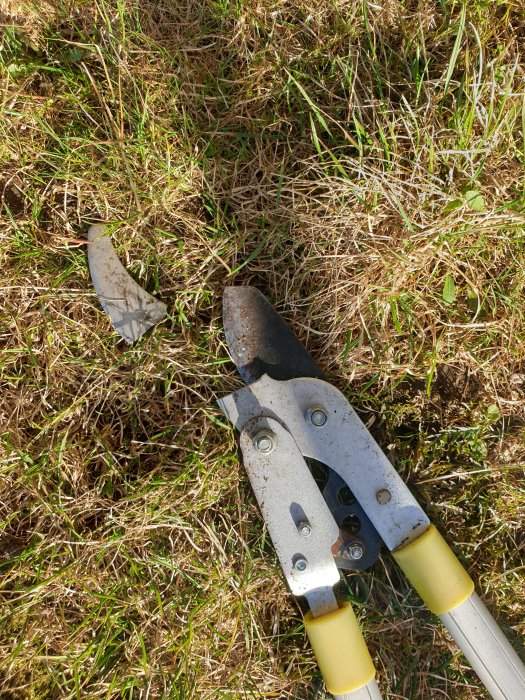 Beskurna häcksaxar på gräsmatta med brutet handtag.