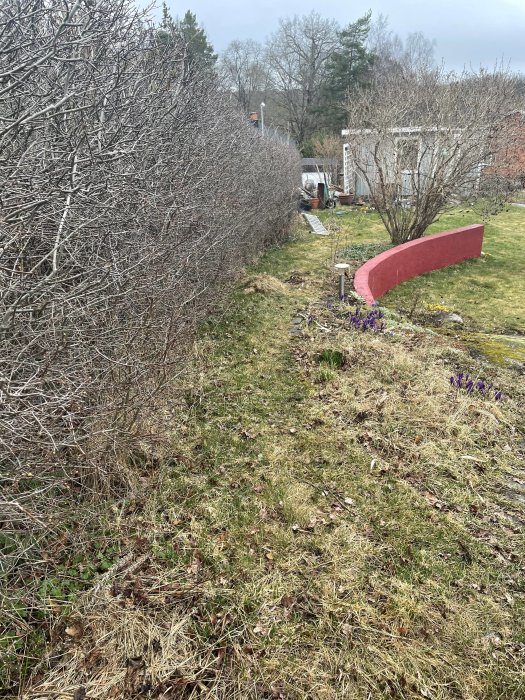 Trädgårdstomt med bergshäll, stenparti, liten röd mur, rabatt, buskar och en smal grässträng längs häcken.