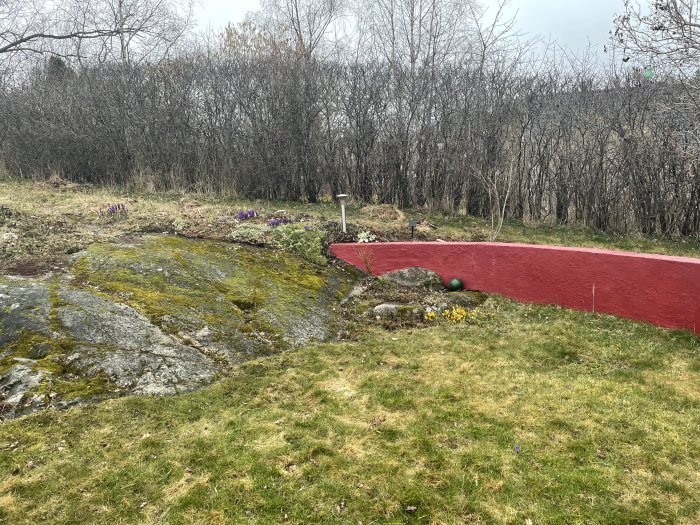 Trädgård med bergshäll, gräs, stenparti och buskar vid en röd markering för klippyte.