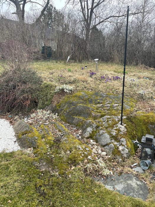 En bergshäll med mossa och stenparti i en trädgård, omgärdad av gräs och buskar.