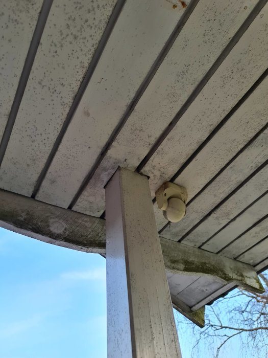 Skadad vitmålad stolpe i trä med ruttande övre del vid takkonstruktion, mögel och smuts syns.