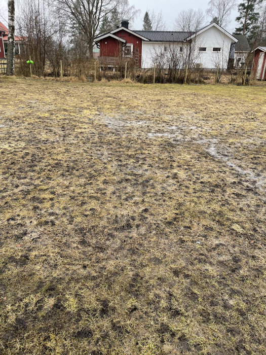 Våt baksida med gräs och vattenansamlingar, hus i bakgrunden, inritade linjer för sluttning och dränering.