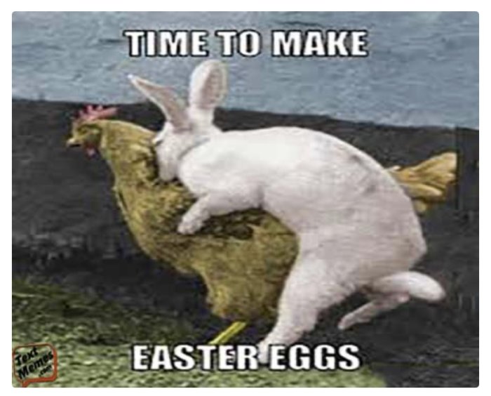En vit kanin som rider på en höna med texten "Time to make Easter eggs".