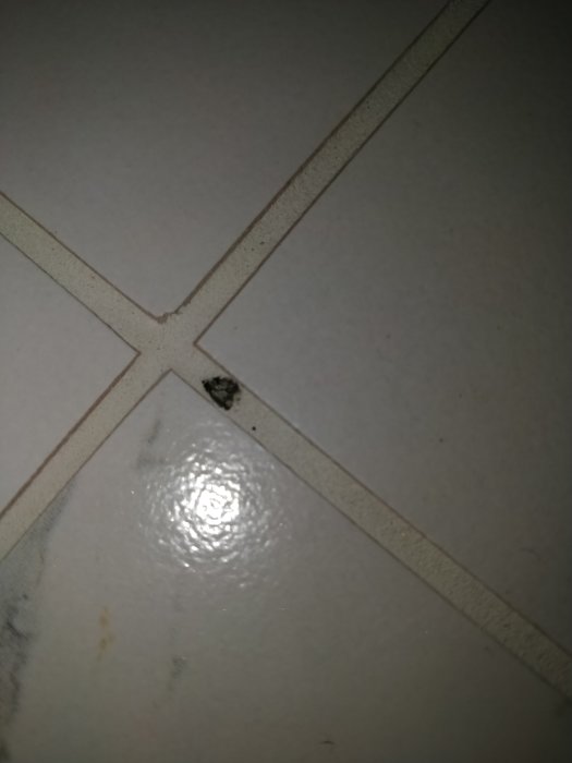 Mindre hål i en badrumsgolvsfog med angränsande ljusa kakelplattor och tecken på nötning.