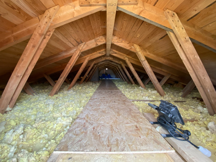 Oisolerat vindutrymme med en trampad gångväg, loftbalkar och isoleringsmaterial spritt på golvet.