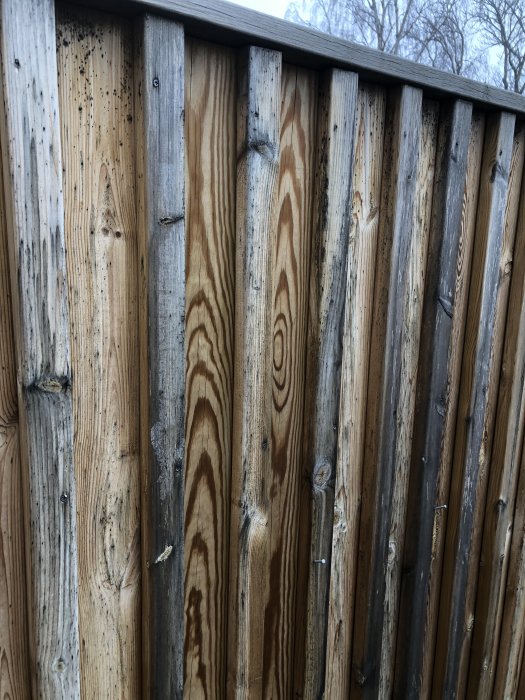 Altanens tryckimpregnerade staket med synlig missfärgning och fläckar efter sex års användning.