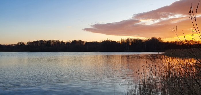 Solnedgång vid en sjö med silhuetter av träd och reflekterande vatten.