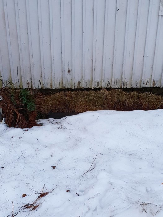 Husgrund med planteringar intill en snötäckt mark och en vit vägg som kan vara fuktig.