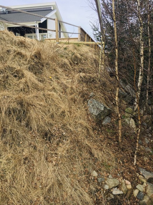 Brant slänt med sprängsten och dött gräs framför en altan, svår terräng för anläggning av altan.