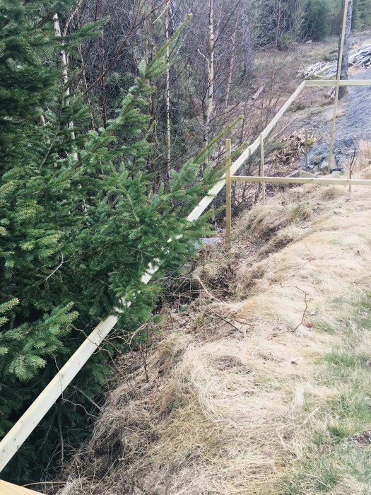 Altanbygge pågår i en slänt med sprängsten och vegetation, brant terräng, halvfärdig träkonstruktion synlig.