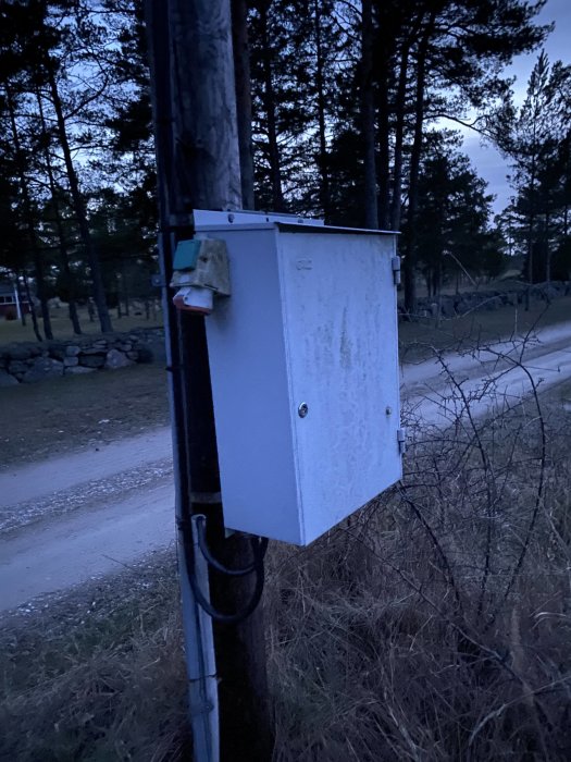 En grå elbox monterad på en stolpe utomhus vid skymningen, med skog och grusväg i bakgrunden.