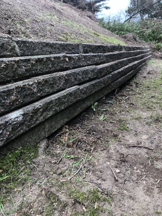 Gammal stödmur med U-form på 8 meter i en trädgård, behöver renoveras vid en slänt.