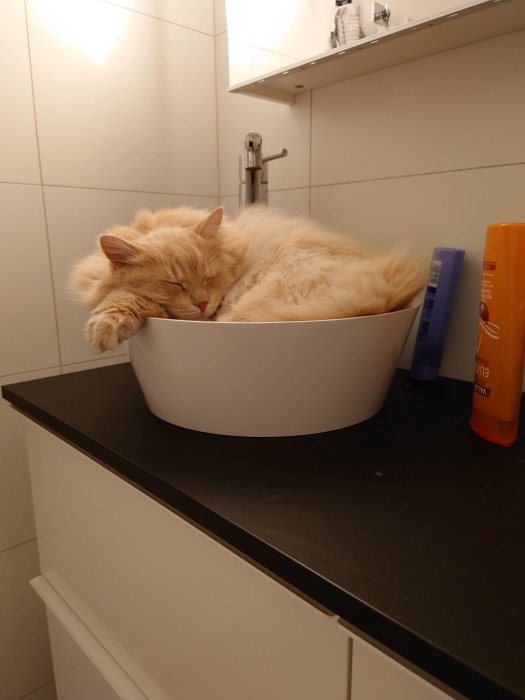 Fluffig orange katt sover i vit skål på badrumshylla.