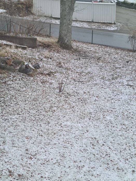 Snötäckt trädgård efter snöstorm med starflock, dålig bildkvalitet.