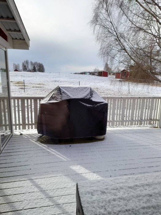 Snötäckt uteplats med överdragsskyddad grill och lantlig vinterutsikt.