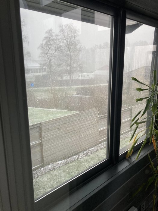 Utsikt från ett fönster med lätt snöfall över en trädgård med staket och hus i bakgrunden.