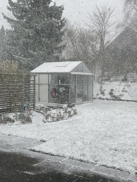 Växthus täckt av tunnt lager snö under en snöig dag i en trädgård.