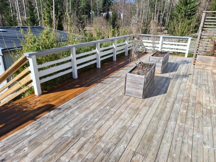 Altan med nybehandlat trägolv och vitmålad räcke, träkrukor med växter, soligt väder.