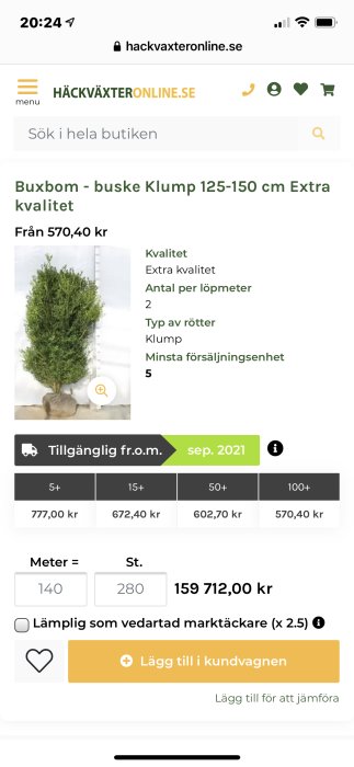 Skärmbild av webbutik som säljer buxbom buskar, med priser och storlekar samt en buxbom framför mätpinne.