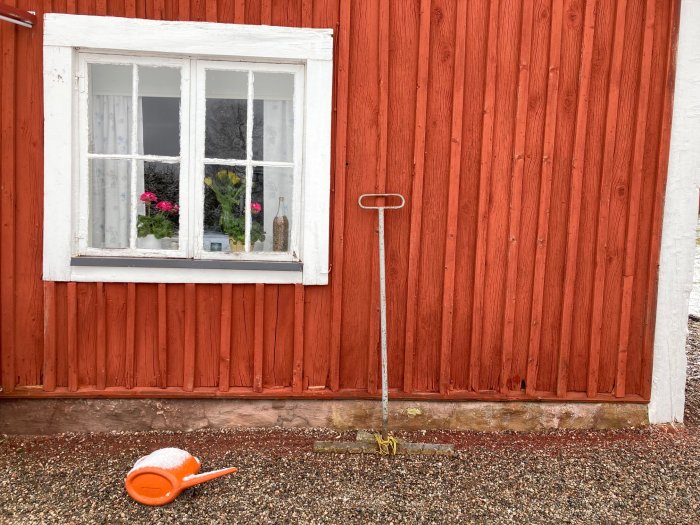 Röd trävägg på hus med vitt fönster, en välta orange vattenkanna på grus och en skopa intill.