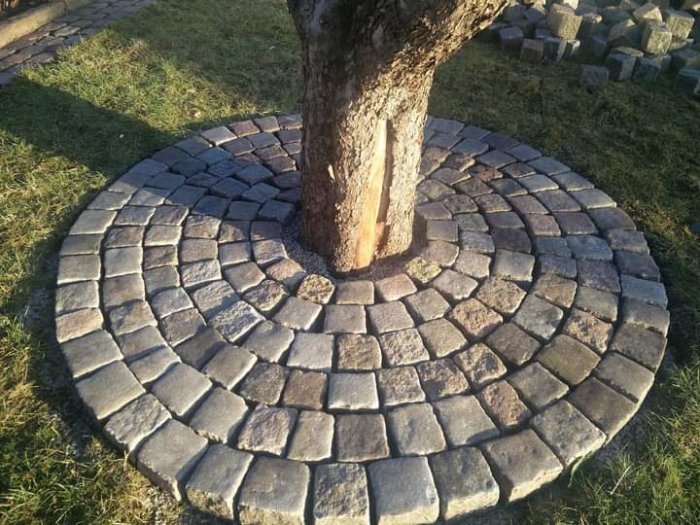 Rund stenläggning av nyare kantstenar runt ett träd med ytterligare stenar spridda på gräset.