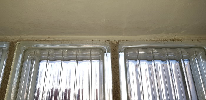 Hörnet av ett fönster med svarta prickar som kan vara mögel längs den övre fönsterkanten.
