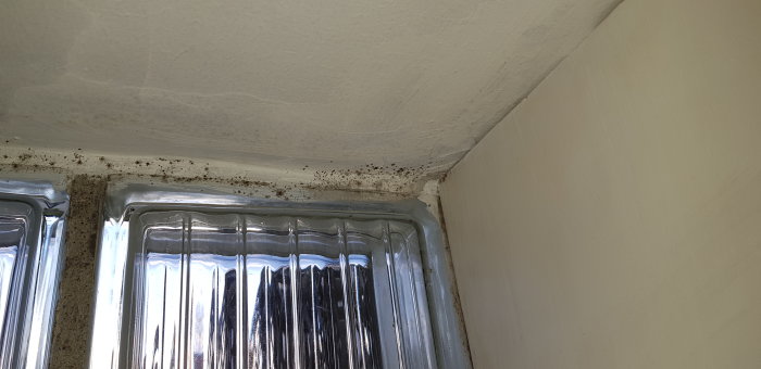 Svarta prickar runt fönsterkarm i källarlägenhet som kan vara mögel.