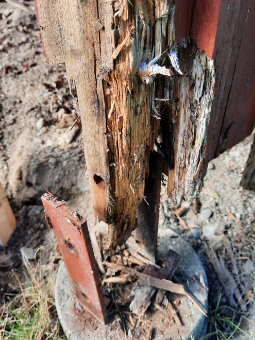 Skadad trästolpe med röta och avskalad färg, stående på en betongplint med återanvända bultar.